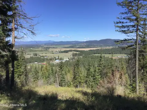 Forested Land with Leveled Sites