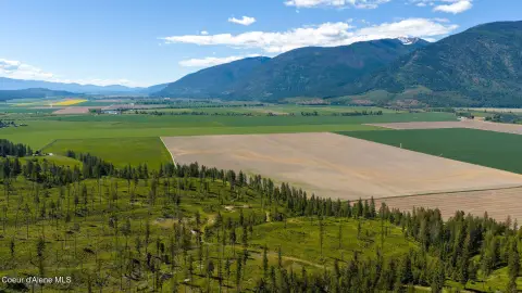North Idaho 20-Acre Sanctuary