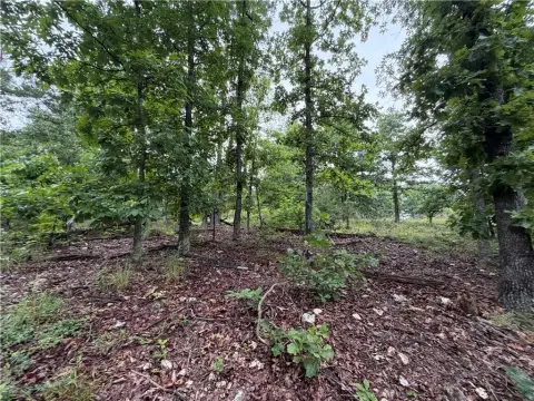 Recreational Hunting Land Parcel