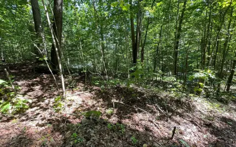 Hiawassee, GA Wooded Lot