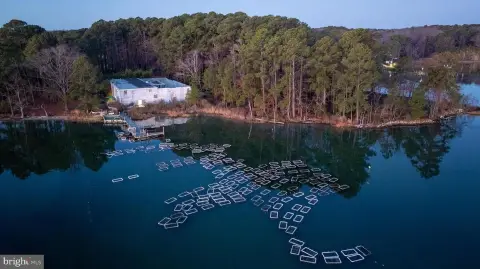Oyster Aquaculture Facility on Creek