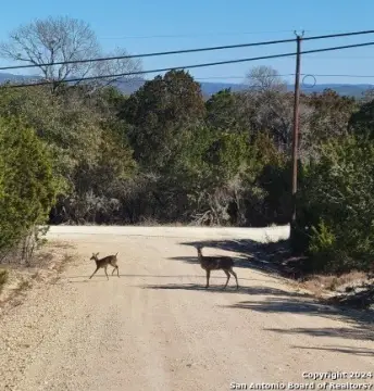 Residential Lot Near Medina Lake