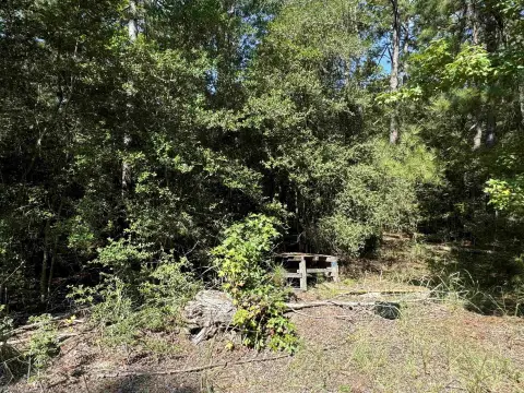 Rayburn Country Lot For Sale