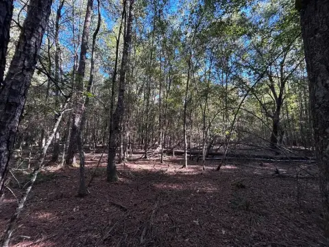 Residential Lot in Wildwood, TX