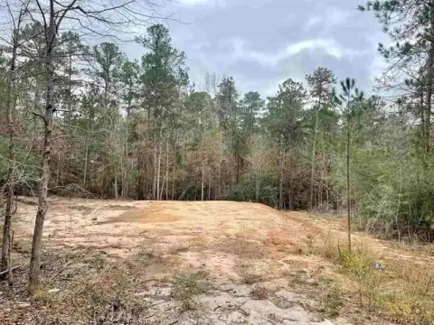 Rayburn Country Lot Near Lake