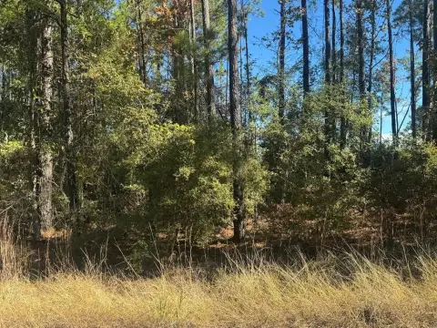 Waterfront Lot in Brookeland, TX