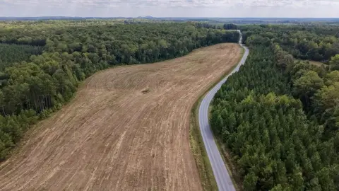 Agricultural Land with Wooded Acreage