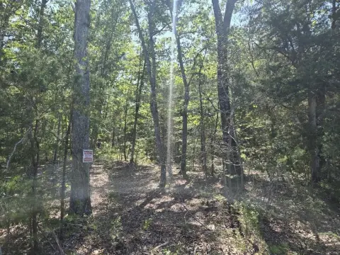 Wooded Land Parcel