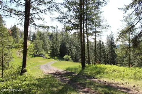 Coeur d'Alene Timbered Land