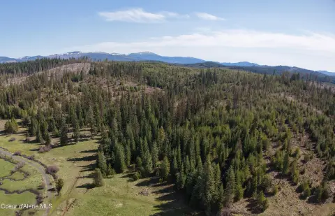 Hunting Land with Year-Round Creek