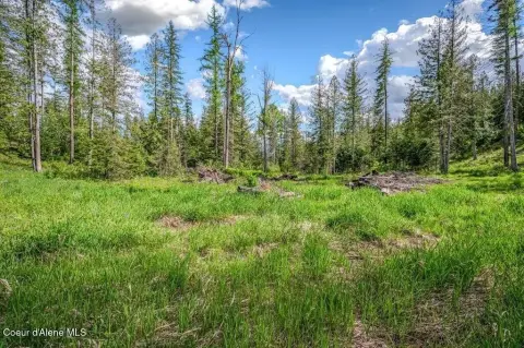 Sunnyside Peninsula Land Parcel