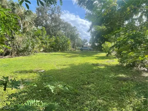 Vacant Land in North Fort Myers