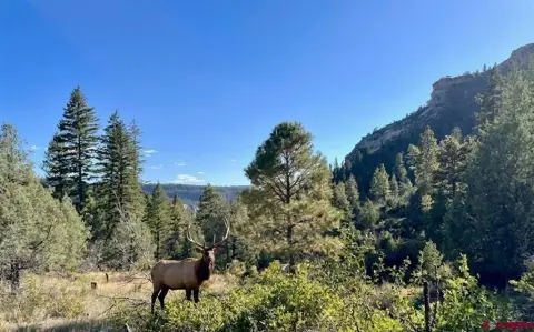 Mountain Hunting Ranch with River Views