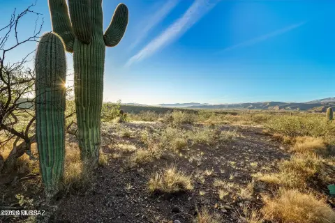 36 Acres of Desert Land