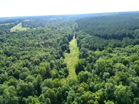 Brundidge Land with Creek Frontage