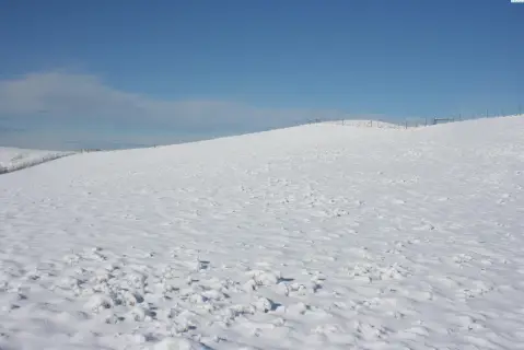 Residential Land in Pullman, WA