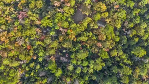 Rayburn Country Land Opportunity