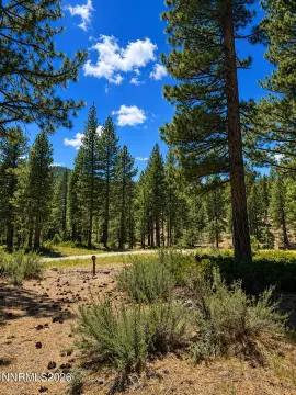 Exceptional Homesite in Clear Creek