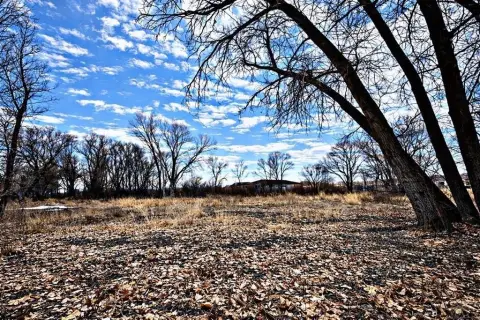 San Carlos Estates Acre Lot