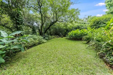 Honolulu Land in Nu'uanu Valley