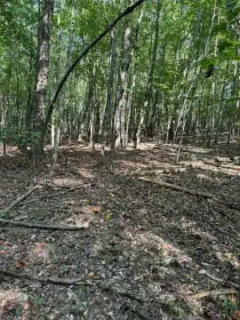 Agricultural Land Tract