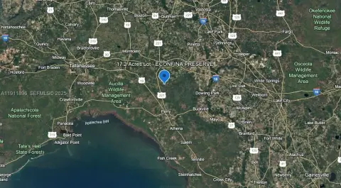 17.2 Acres in Perry, Florida