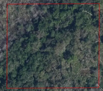 Undeveloped Land in Cocoa, FL