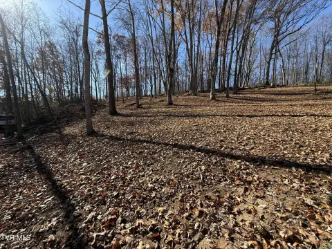 Wooded Land Near Milligan College
