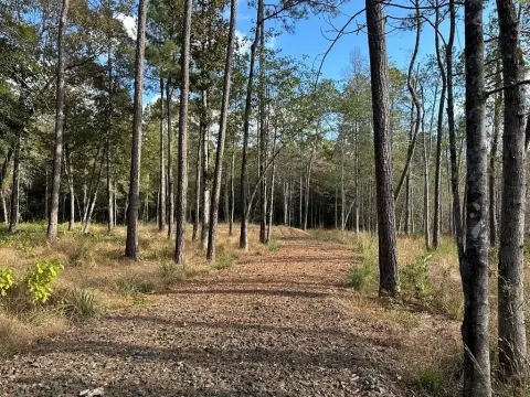 Wooded Homesite Ready for Build
