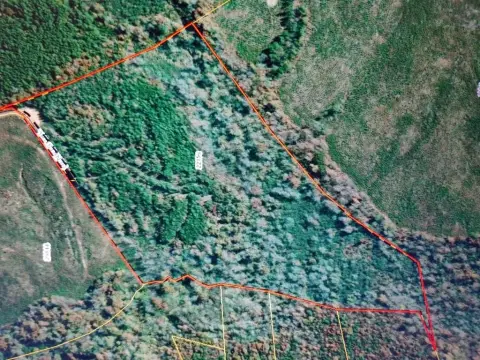 Wooded Land With Creek