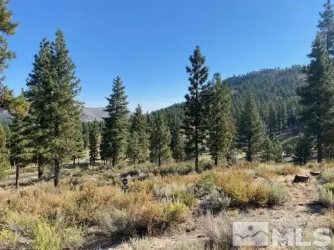 Spacious Homesite in Mountain Cottage