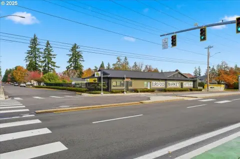 Multi-Tenant Shopping Center