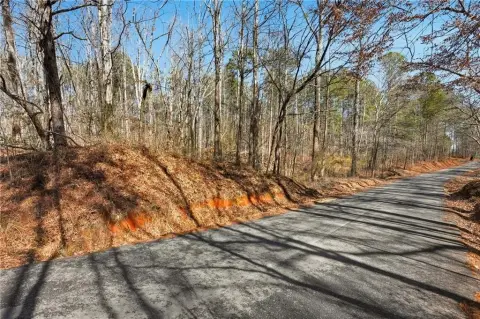 Two Acre Homesite Opportunity