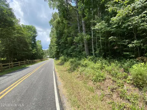 Wooded Mountain Land Parcel