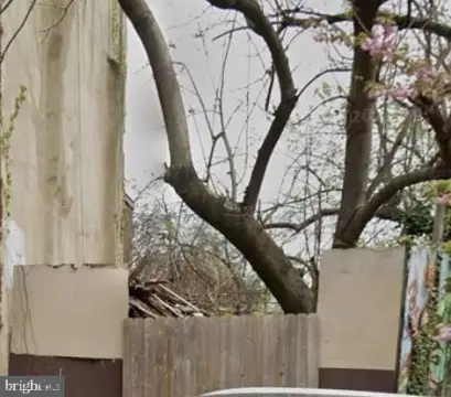 Vacant Lot Ready for Development