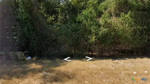 Commercial Land in Gonzales, TX