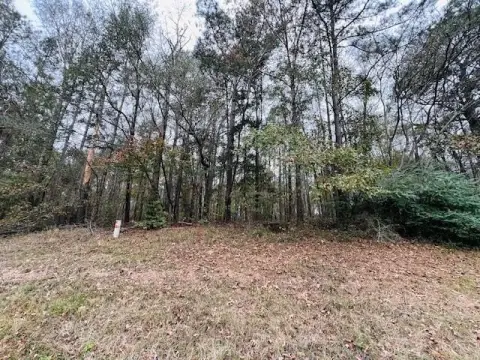 Pineland, TX Wooded Acreage