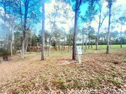 South Toledo Bend Lake Lots