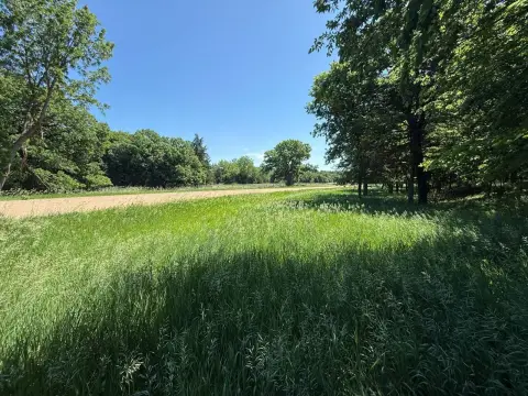 Recreational Hunting Land Tract