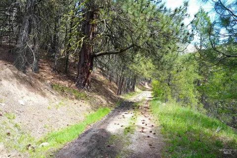 Garden Valley Camping Lot