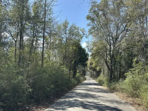 Agricultural Hunting Land