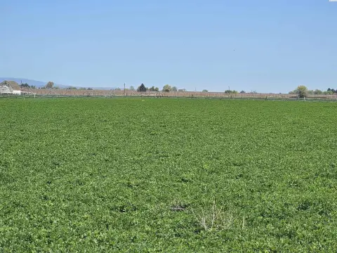 Irrigated Alfalfa Farm Land