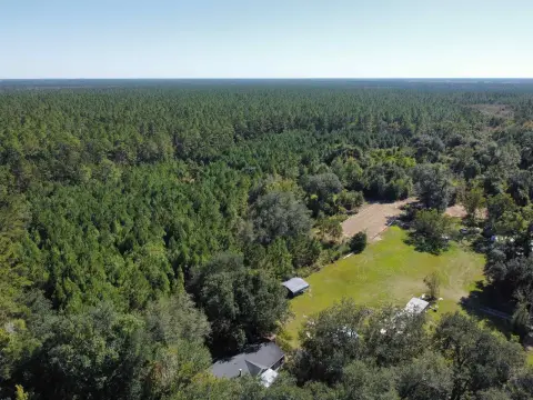 Land Near Apalachicola National Forest