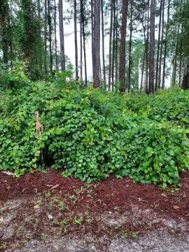 Carrabelle Land in Golf Resort