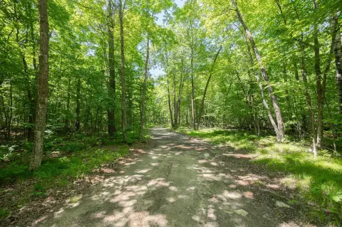 Wooded Waterfront Recreational Land