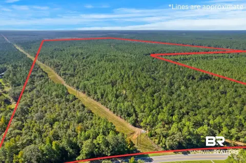 Wooded Hunting Land Along Creek