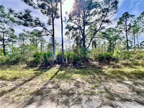 Punta Gorda Land For Sale