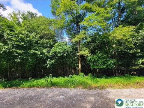 Residential Land in Walker Twp