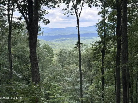 Mountain View Homesite with Level Site