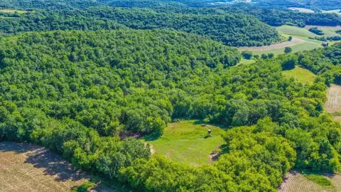 Managed Hunting Tract with Cabin